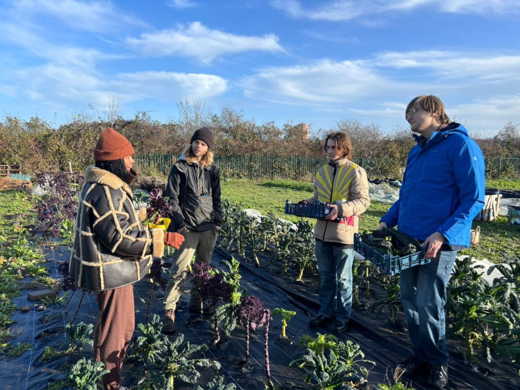 Young people at an outdoor nursery with plants or crops 